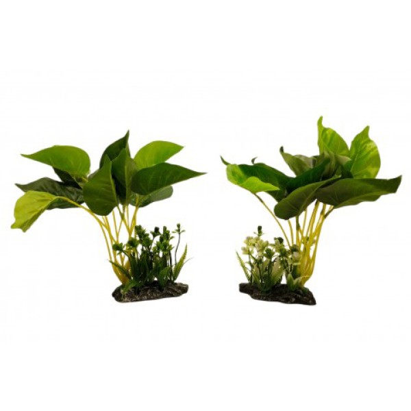 ΔΙΑΚΟΣΜΗΤΙΚΟ ΦΥΤΟ ΕΝΥΔΡΕΙΟΥ ΣΕ 2 ΧΡΩΜΑΤΑ 28X11CM